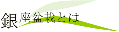 銀座盆栽とは
